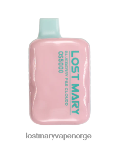 Lost Mary Norge - LOST MARY OS5000 engangs blåbær p&b sky 26DZPT17