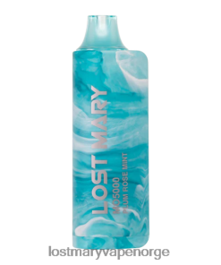 Lost Mary Oslo - LOST MARY MO5000 engangs plomme rose mynte 26DZPT58