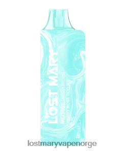 Lost Mary Smak - LOST MARY MO5000 engangs bærrose duo is 26DZPT6