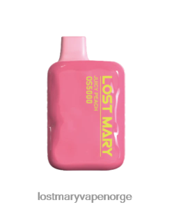 Lost Mary Vape Norge - LOST MARY OS5000 engangs fersken is 26DZPT53