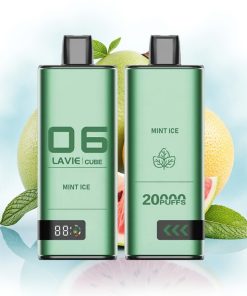 Lavie Cube 20000 Puffs Mint Is Type C