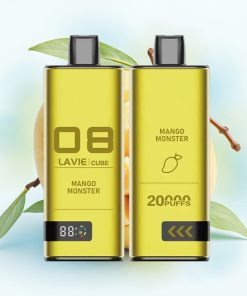 Lavie Cube 20000 Puffs Type C Mangomonster