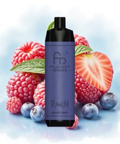 RandM Fumot Shisha 10000 Puffs 18ml Bærmynte