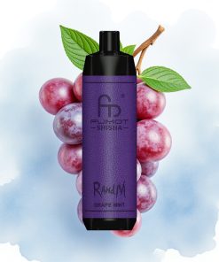 RandM Fumot Shisha 10000 Puffs 18ml Druemynte