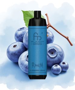 RandM Fumot Shisha 10000 Puffs Blåbær Drue Type-C