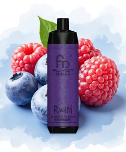 RandM Fumot Shisha 10000 Puffs Blåbær Sur Bringebær 850 mAh