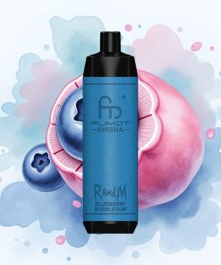 RandM Fumot Shisha 10000 Puffs Blåbærtuggummi 850 mAh
