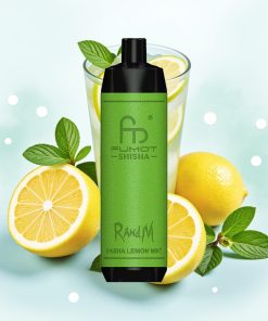 RandM Fumot Shisha 10000 Puffs Sitronmynte Type-C