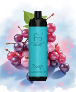 RandM Fumot Shisha 10000 Puffs Solbær Is 18ml