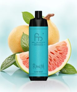 RandM Fumot Shisha 10000 Puffs Tyngdepunkt Mint 18ml