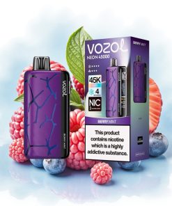 Vozol Neon 45K 45000 Puffs Justerbær Mynte